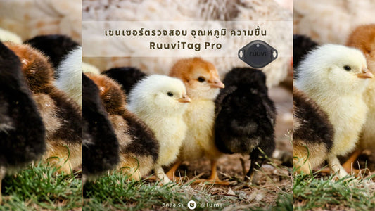 ดูแลความชื้นและอุณหภูมิในฟาร์มด้วยเซนเซอร์ RuuviTag Pro